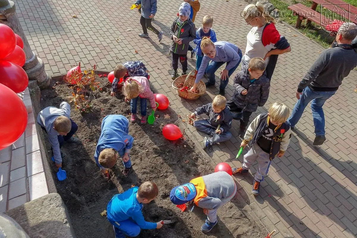 Przedszkolaki posadziły „Tulipany Mocy”, aby wesprzeć ciężko chore dzieciaki