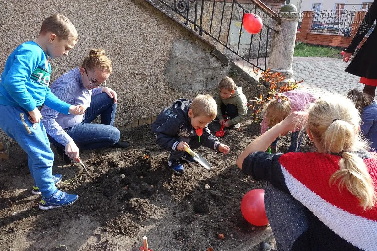 Przedszkolaki posadziły „Tulipany Mocy”, aby wesprzeć ciężko chore dzieciaki