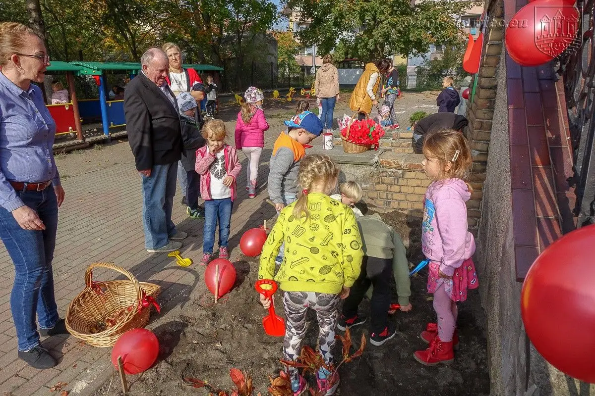 Przedszkolaki posadziły „Tulipany Mocy”, aby wesprzeć ciężko chore dzieciaki