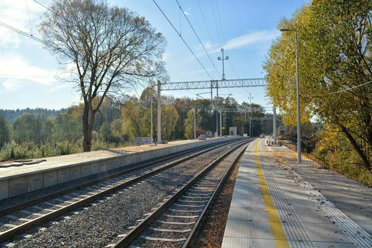 Koźlice