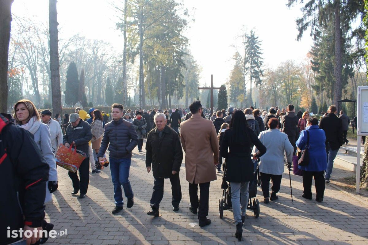 Tłumy na bolesławieckim cmentarzu