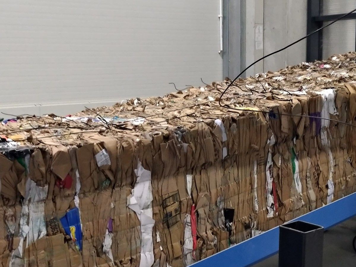 Otwarcie firmy Action