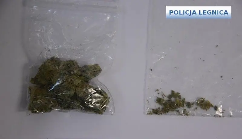 Wpadł z ecstasy, metamfetaminą i marihuaną