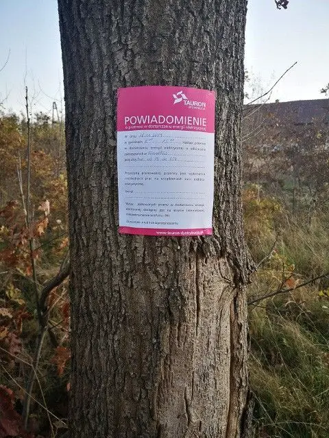 Informacja przytwierdzona do drzewa