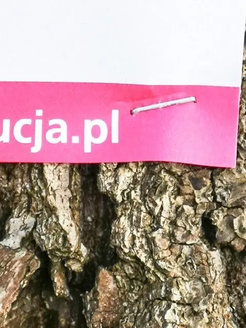 Informacja przytwierdzona do drzewa