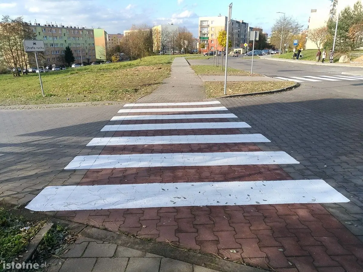 Pasy koło Dino