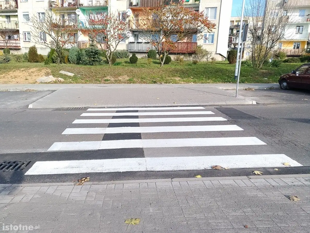 Pasy koło Dino