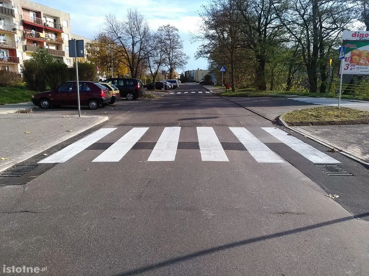 Pasy koło Dino