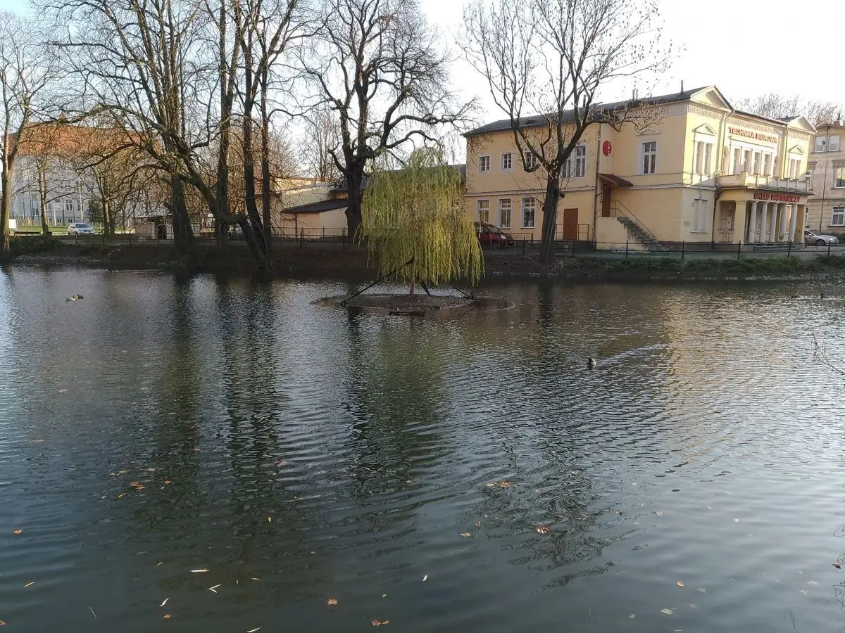 Podwyższony poziom wody w miejskim stawie