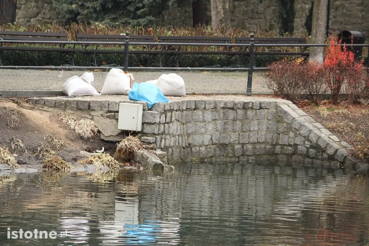Akcja wypompowywania wody ze stawu miejskiego