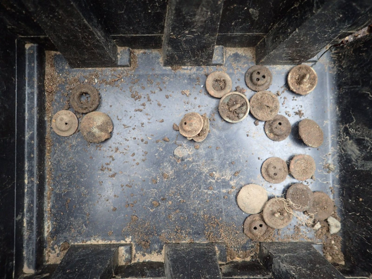 Szczątki dwóch żołnierzy niemieckich znaleziono w Dłużynie Dolnej