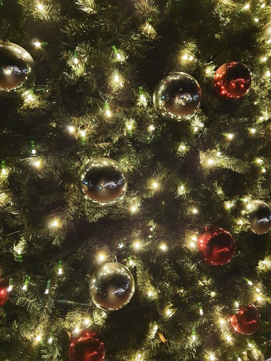 Świątecznie na nowogrodzieckim Rynku