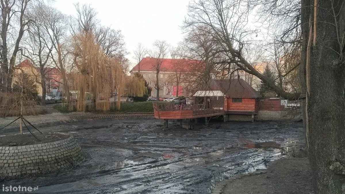 Co ze stawem miejskim przy Bankowej?