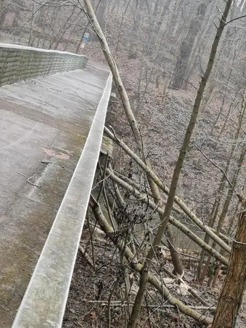 Magistrat interweniuje ws. bobrów