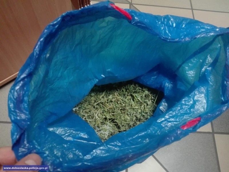 Po pijaku wszczął awanturę. I… wpadł z dużą ilością marihuany