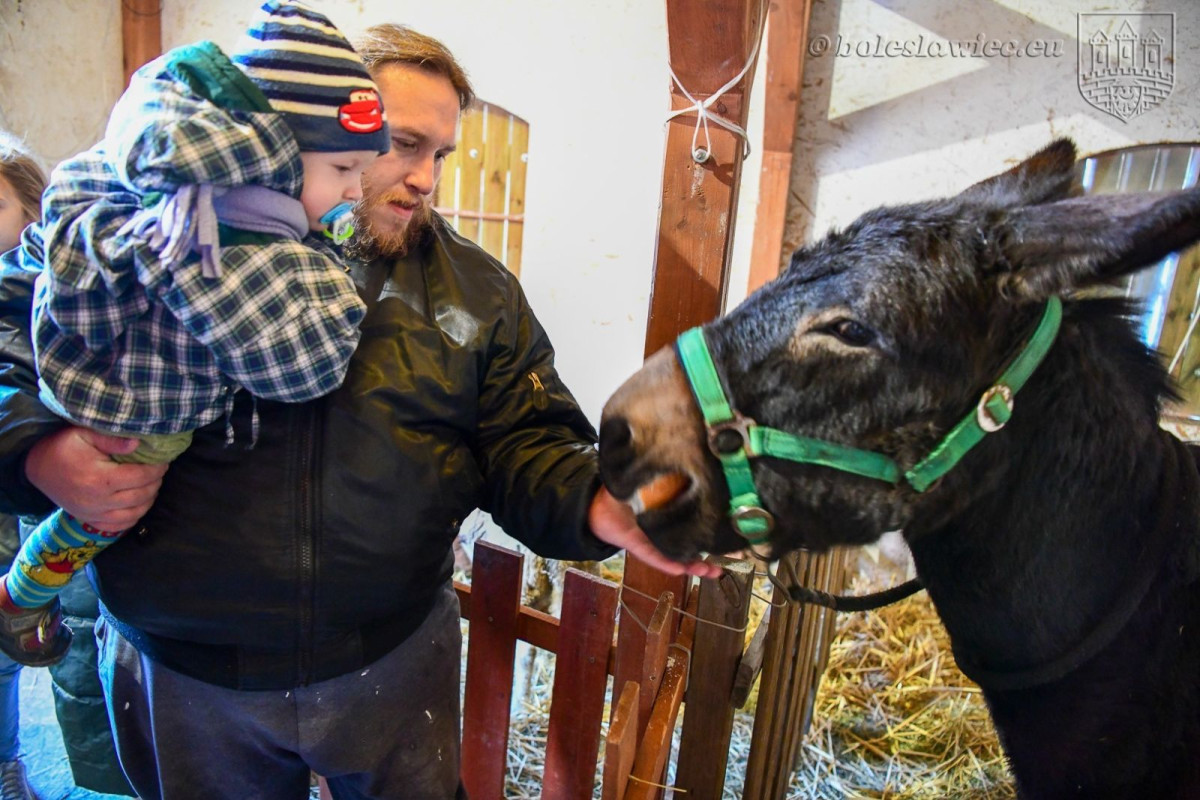Bolesławiecka Gwiazdka Życzliwości 2019