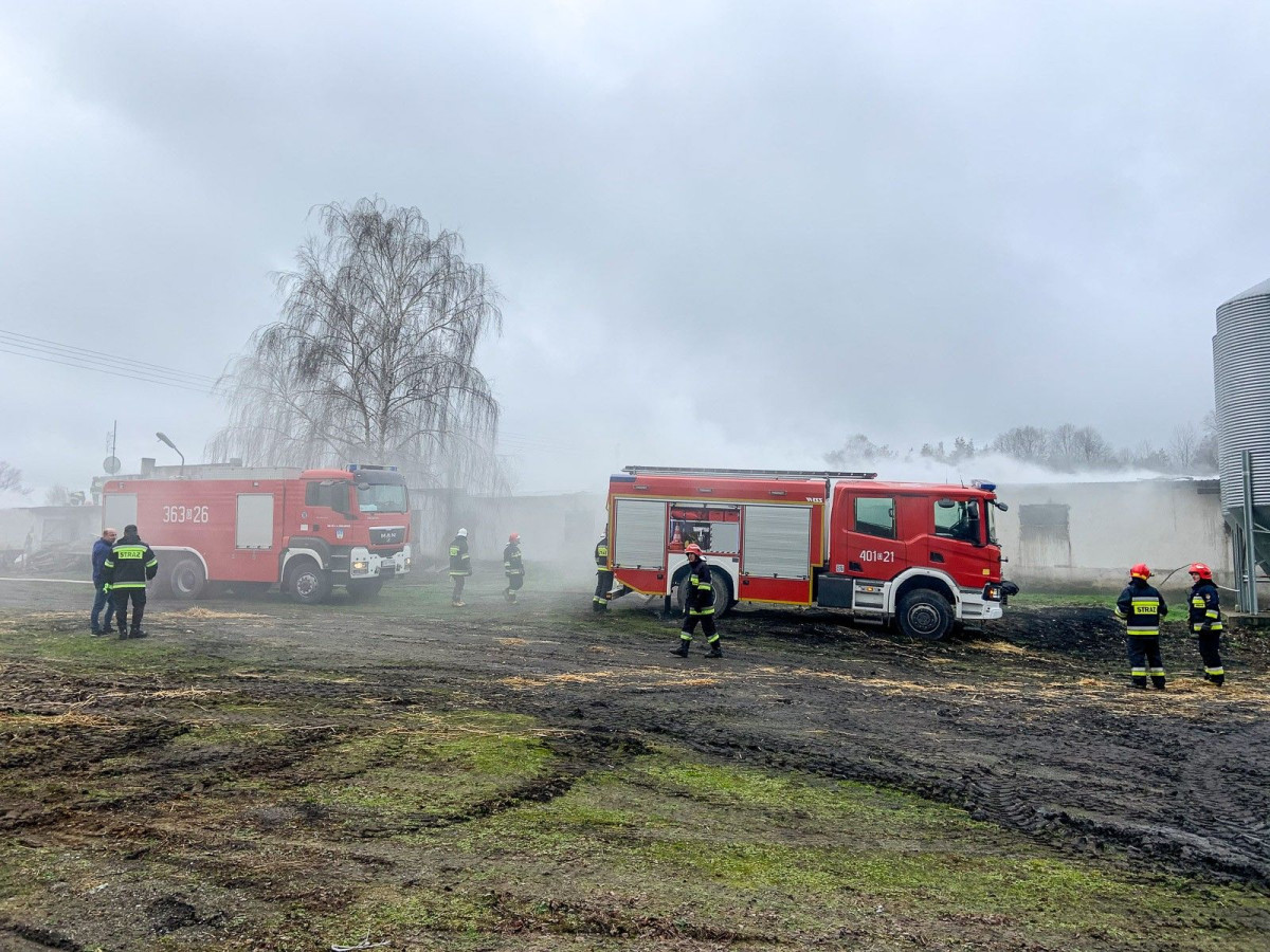 Pożar kurnika w Krzyżowej
