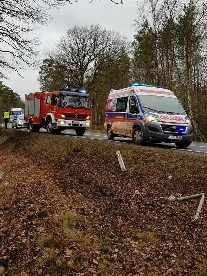 Bus wjechał w drzewo. Jedna osoba ranna