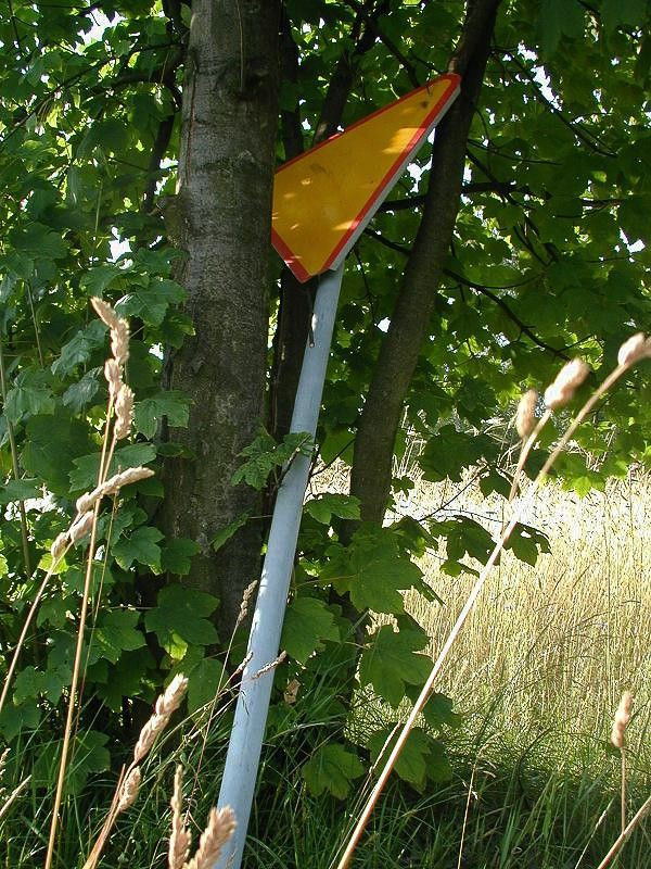Wandale grasują w gminie Bolesławiec. Wyrywają ławki, niszczą znaki