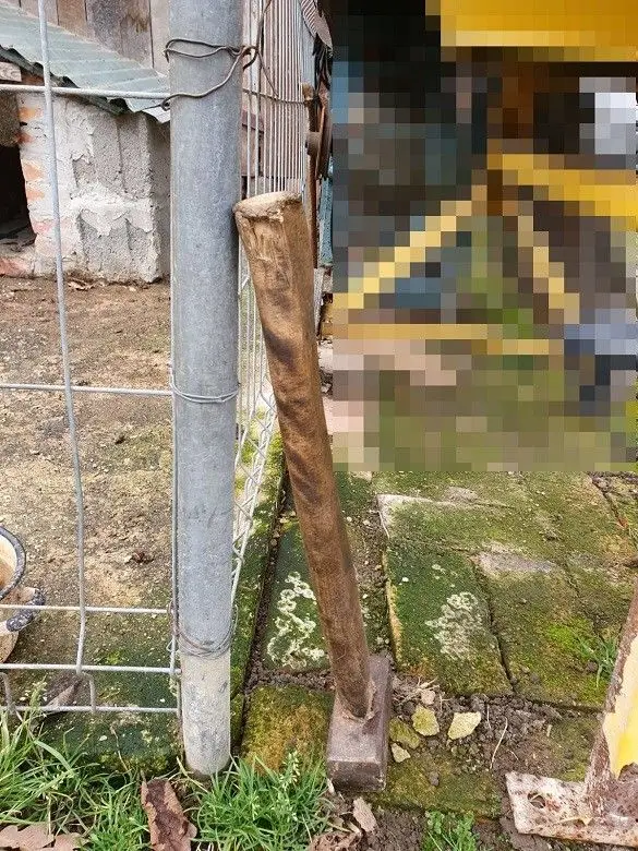 Zwyrodnialec młotkiem zabił psa. Grozi mu do 5 lat więzienia