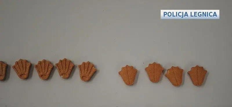 19-latek wpadł z dużą ilością narkotyków