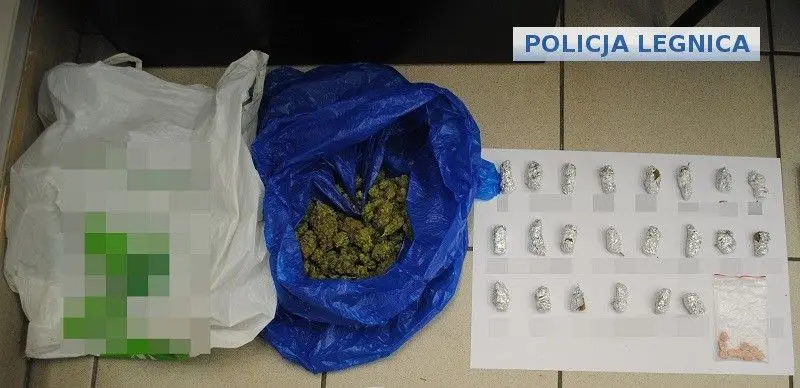 19-latek wpadł z dużą ilością narkotyków