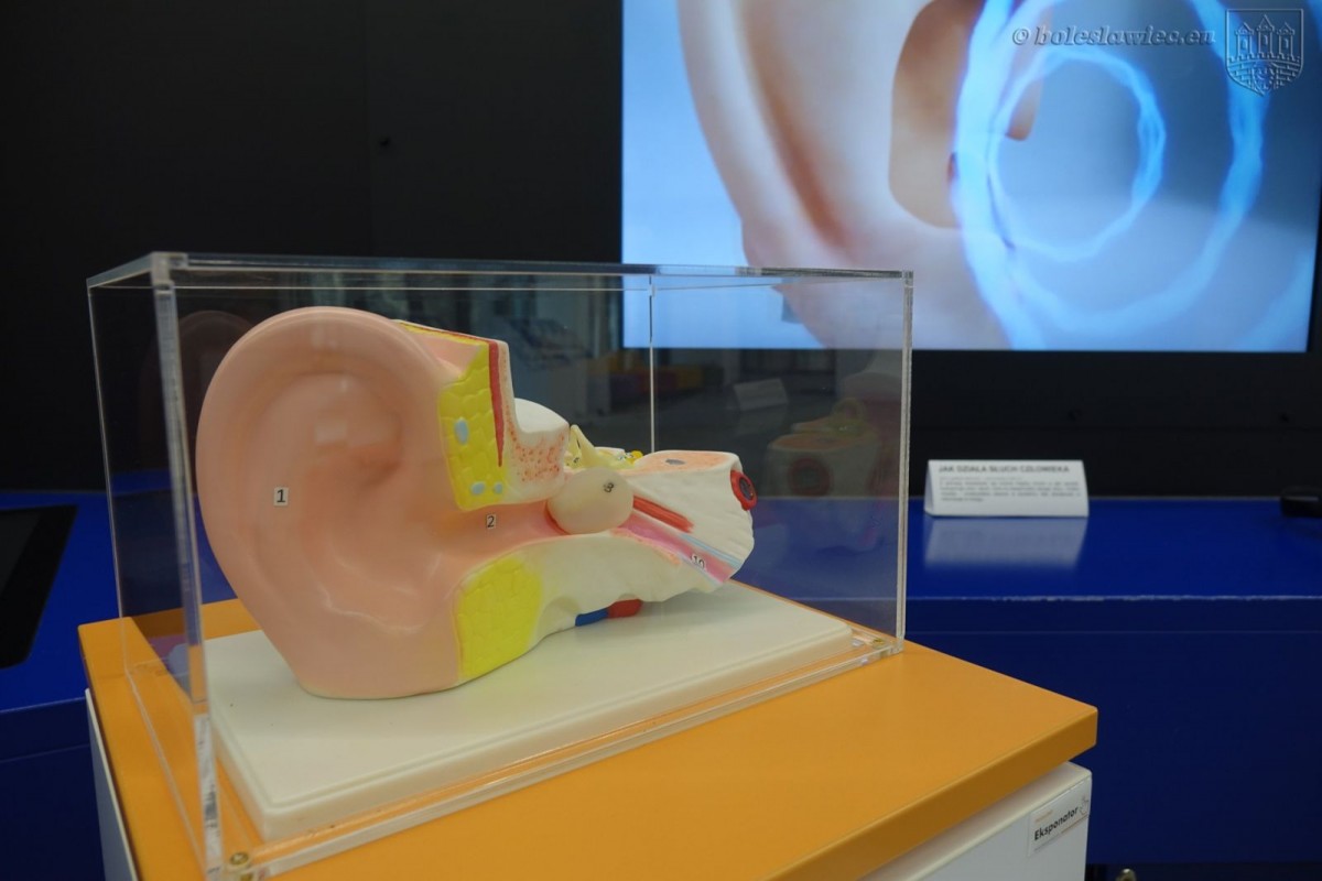 Potęga zmysłów - wystawa w Centrum Wiedzy