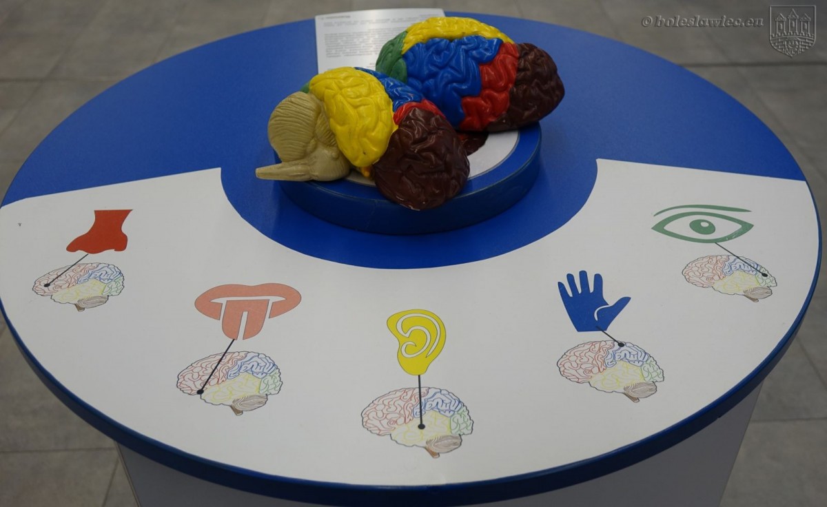 Potęga zmysłów - wystawa w Centrum Wiedzy