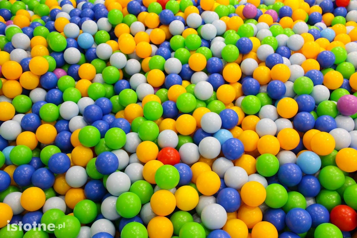 Amazonia Centrum Zabaw dla Dzieci