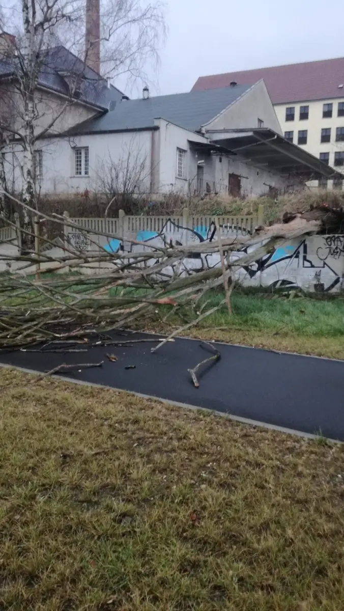 Orkan Sabina nad Bolesławcem