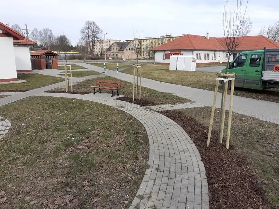 Więcej zieleni w Osiecznicy