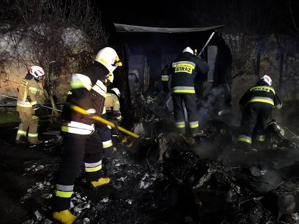 Pożar w Rakowicach. Strażacy uratowali pszczoły