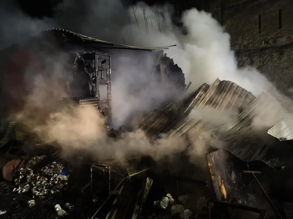 Pożar w Rakowicach. Strażacy uratowali pszczoły