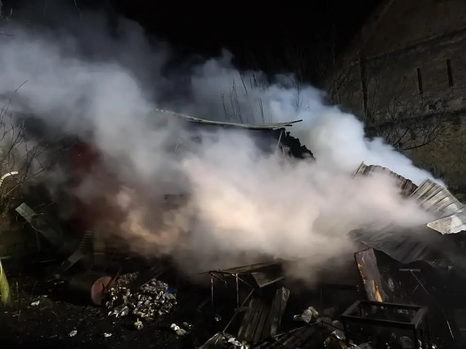 Pożar w Rakowicach. Strażacy uratowali pszczoły