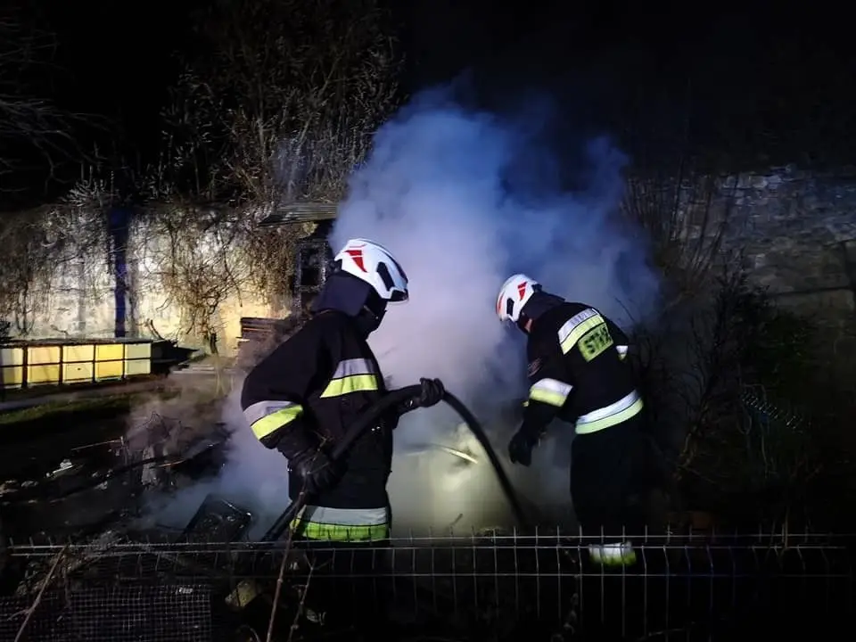 Pożar w Rakowicach. Strażacy uratowali pszczoły