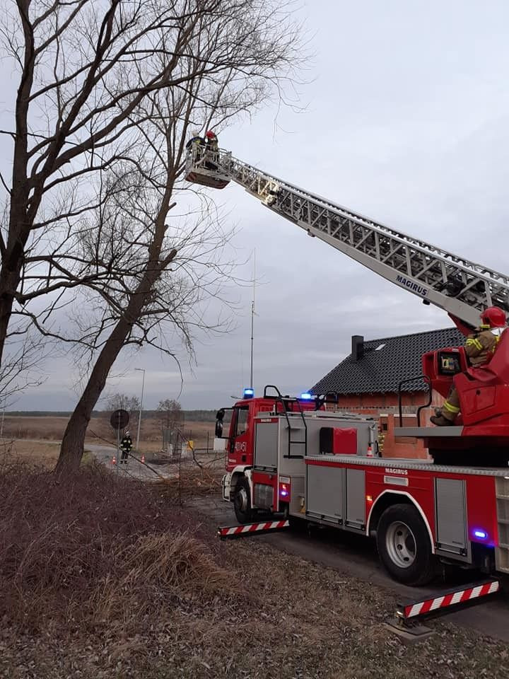 Akcja strażaków w Brzeźniku (gmina Bolesławiec)