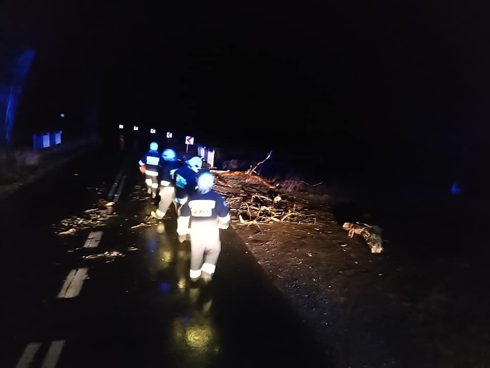 Niż Julia nad powiatem bolesławieckim. Powalone drzewo na drodze Gromadka – Wierzbowa