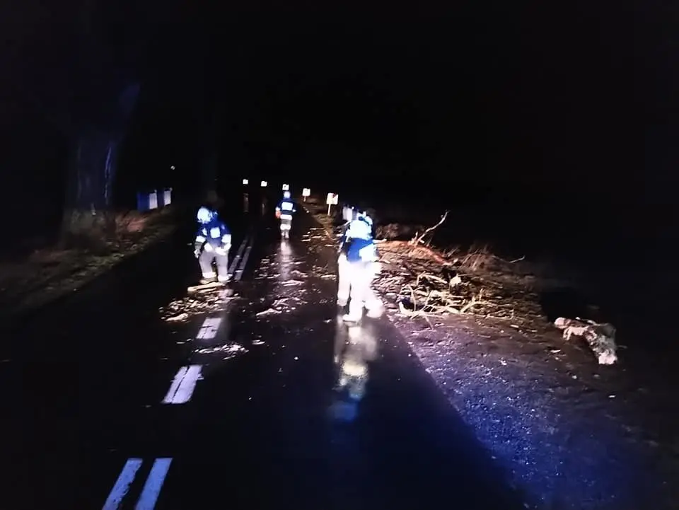 Niż Julia nad powiatem bolesławieckim. Powalone drzewo na drodze Gromadka – Wierzbowa