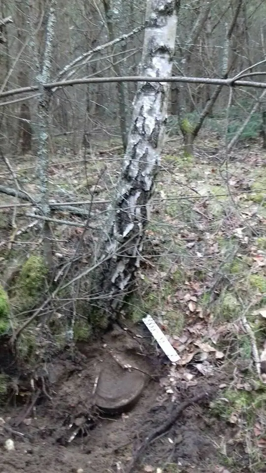 Miny przeciwpancerne znalezione w lesie w powiecie bolesławieckim