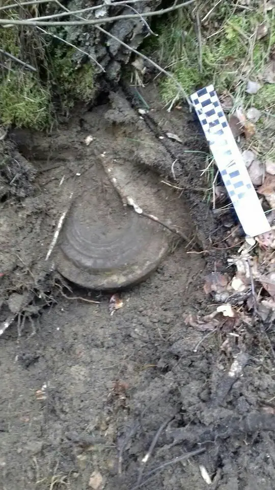 Miny przeciwpancerne znalezione w lesie w powiecie bolesławieckim