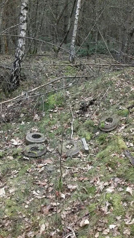 Miny przeciwpancerne znalezione w lesie w powiecie bolesławieckim