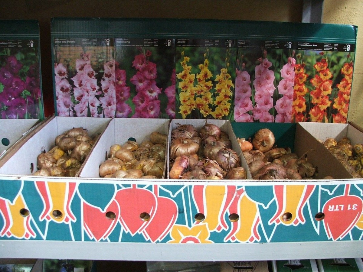 Sklep Zielony Ogród Bolesławiec