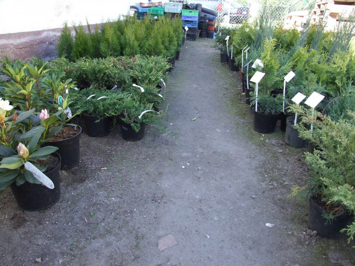 Sklep Zielony Ogród Bolesławiec