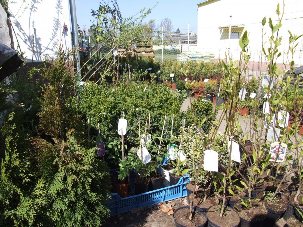 Sklep Zielony Ogród Bolesławiec