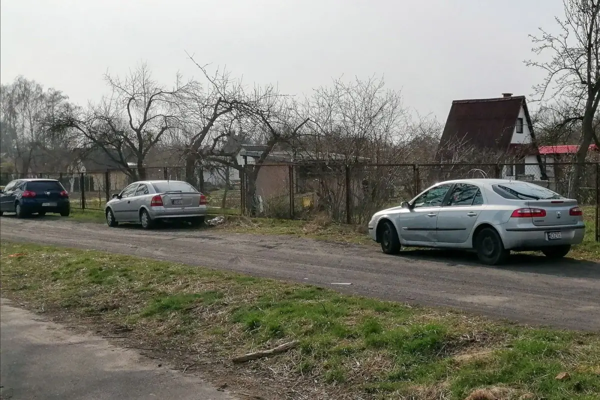W piątek ludzie spędzali czas na działkach