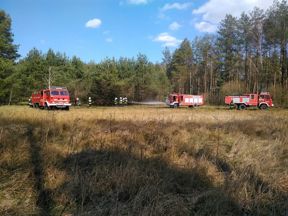 Akcja straży koło miejscowości Motyle (gmina Gromadka, powiat bolesławiecki)