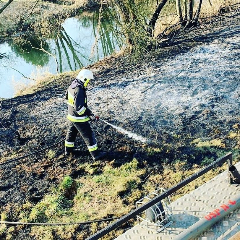 Akcja straży pożarnej przy A4 (na wysokości Kierżna, gmina Nowogrodziec, powiat bolesławiecki)