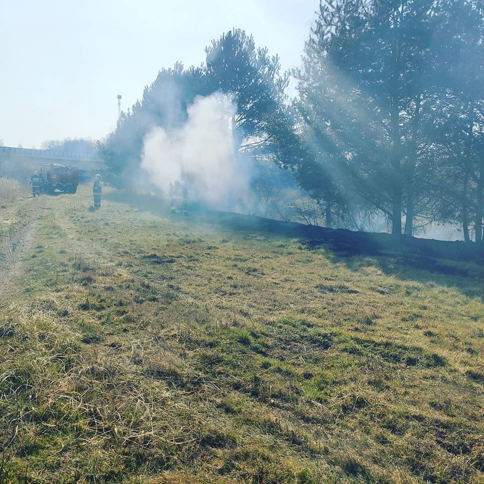 Akcja straży pożarnej przy A4 (na wysokości Kierżna, gmina Nowogrodziec, powiat bolesławiecki)