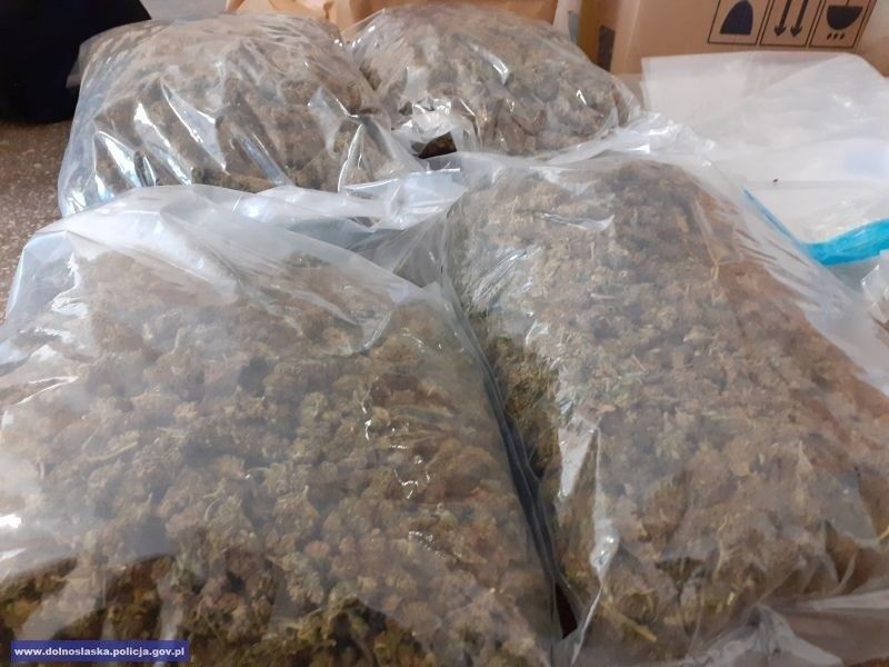 Narkotyki ujawnione przez bolesławiecką policję na posesji Wojciecha W.