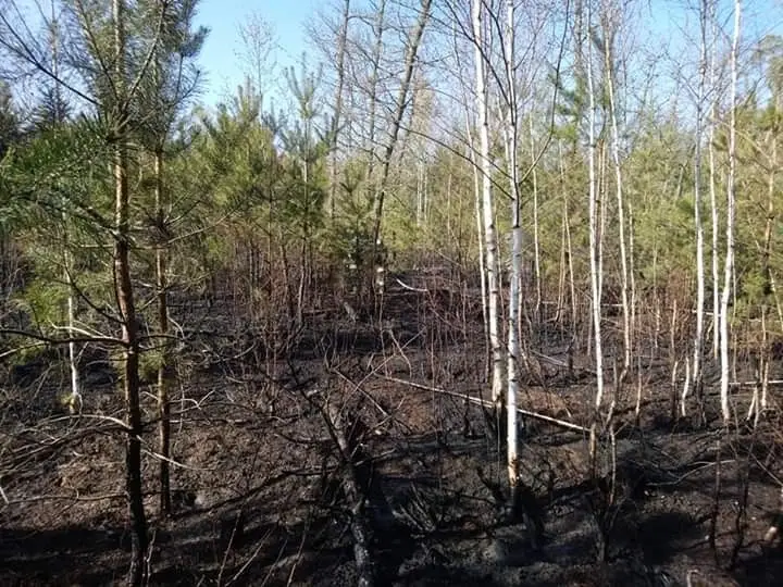 Рятувальна операція в Новій Кузні (гміна Громадка, Болеславецький повіт)